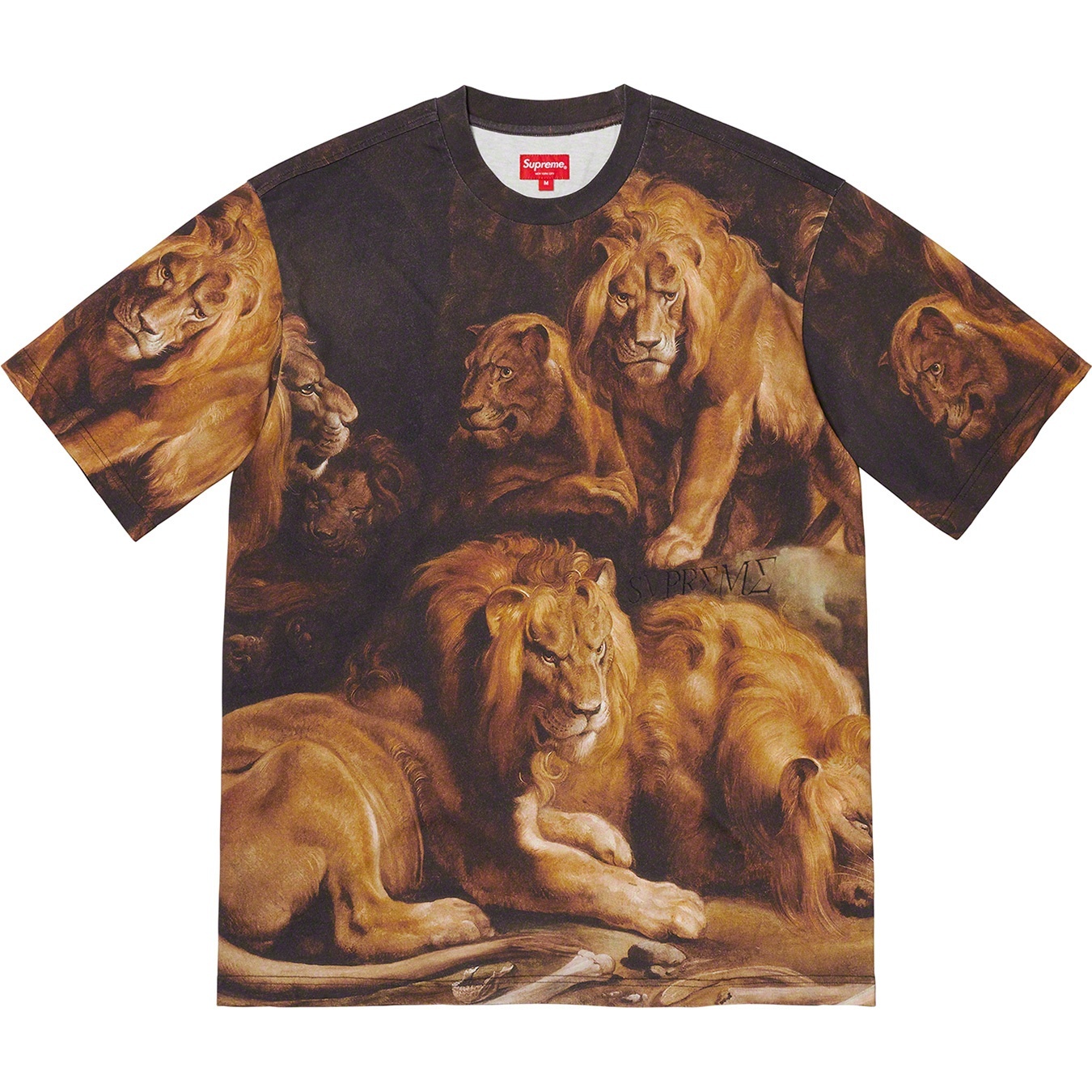 Lions' Den S/S Top view 2